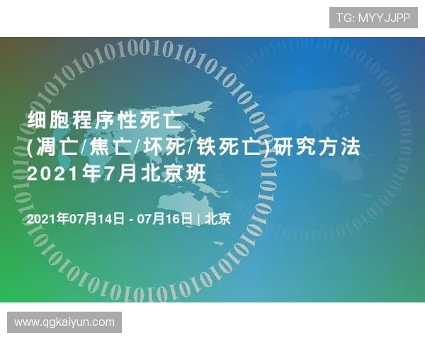 2025年最新白菜网排行榜:最受欢迎的网站推荐 2025年最新白菜网排行榜:最受欢迎的网站推荐